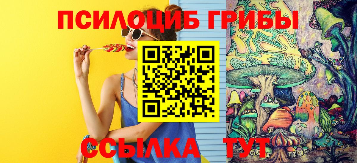 Добрянка  Галлюциногенные грибы прущие грибы  Вход с VPN 