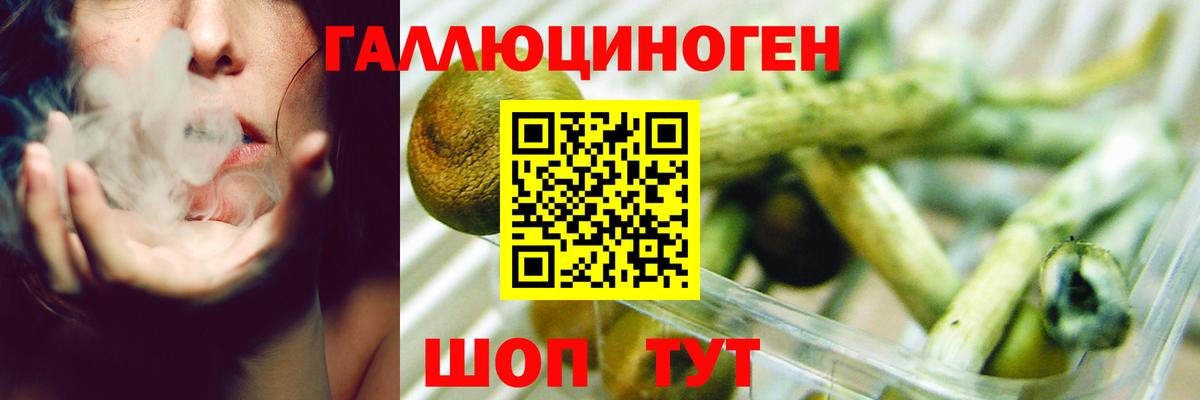Псилоцибиновые грибы Magic Shrooms Добрянка